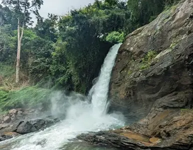 Kerala Backwater Tour